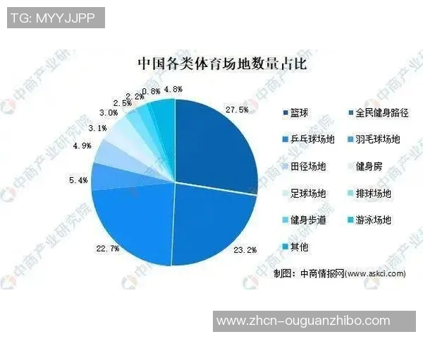 中国足球场排名分析及其对国内足球发展的影响探讨 中国足球场排名分析及其对国内足球发展的影响探讨